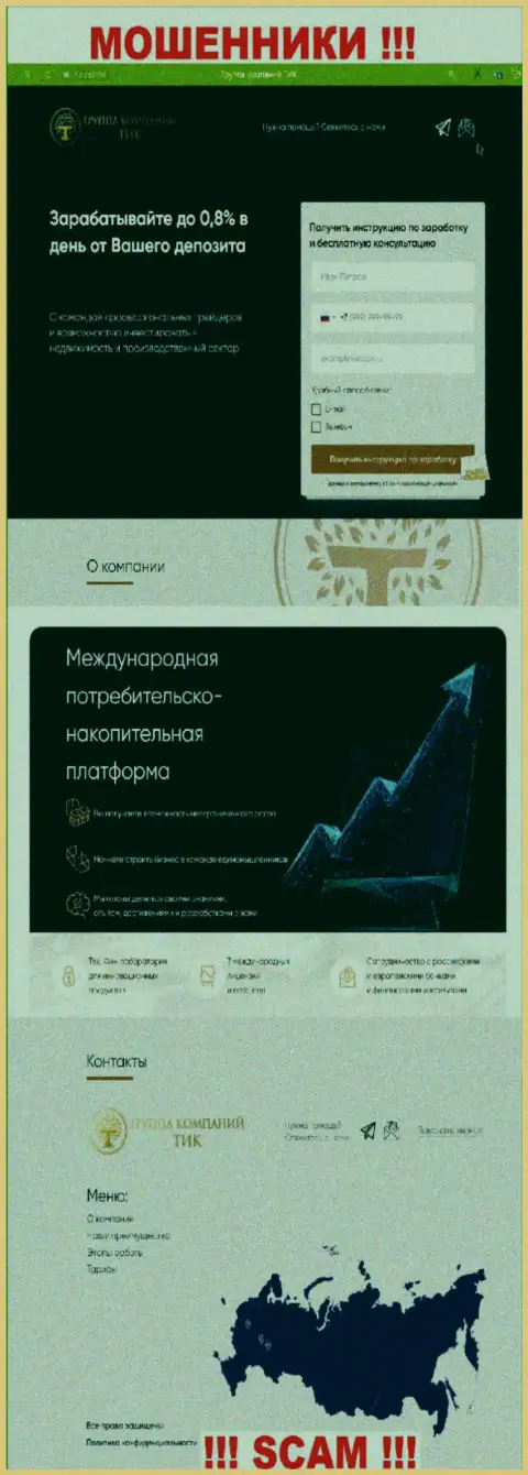 Скриншот официального онлайн-сервиса ГТ ТИК - ТИК Капитал