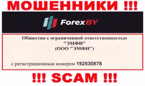 На информационном портале мошенников ForexBY Com приведен этот номер регистрации данной компании: 192530878