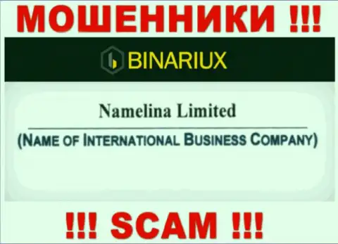 Binariux это кидалы, а руководит ими Namelina Limited