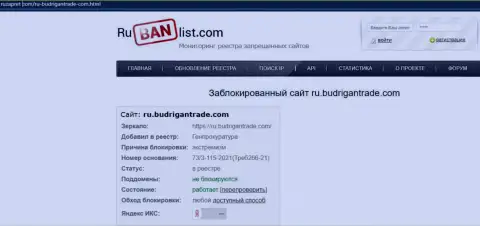 Web-сервис Budrigan Ltd в пределах России заблокирован Генеральной прокуратурой