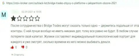 Не попадите в грязные руки интернет обманщиков Bridge Trades - останетесь ни с чем (честный отзыв)