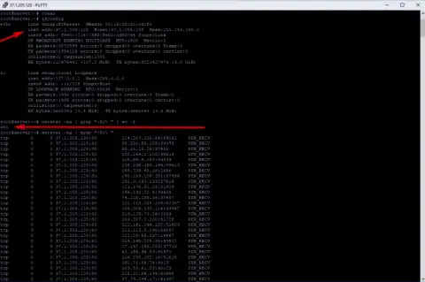 Доказательство DDoS атаки на сервер maximarkets.pro